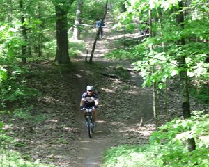 Boemewald MTB Challenge Stine 30